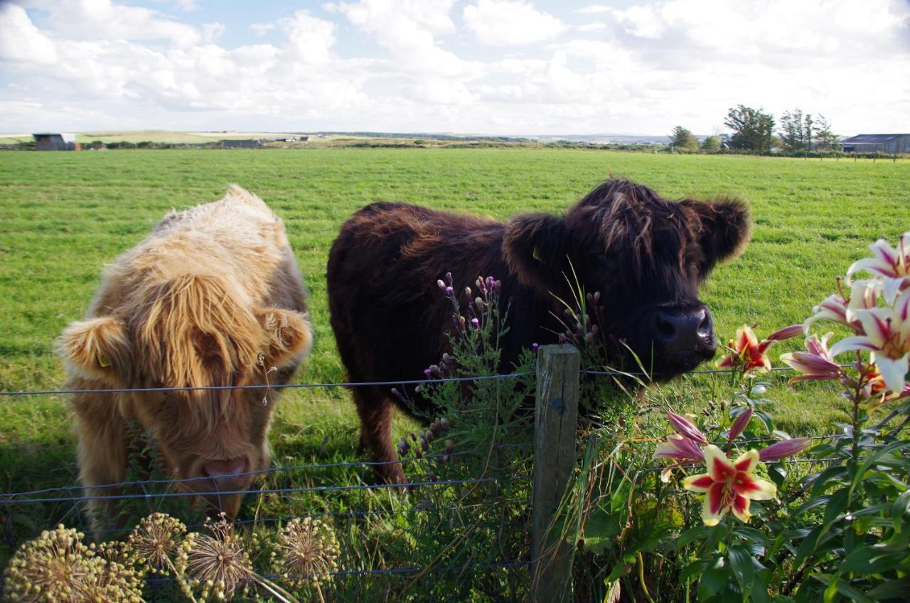 Carrig Lios Bed & Breakfast Thurso Bagian luar foto